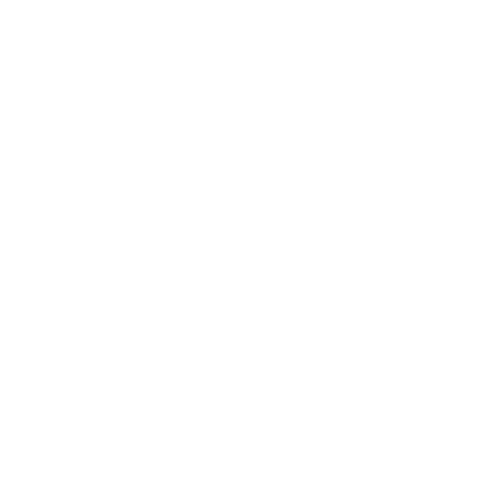 New Year Feliz Ano Nuevo Sticker