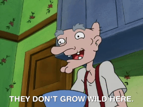 hey arnold nicksplat GIF