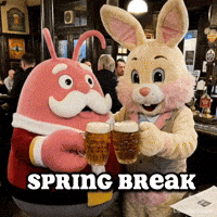 Easter Bunny Pub GIF by LobsterClaus