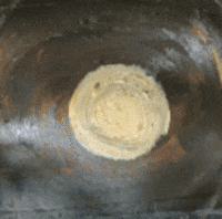 Solar Eclipse GIF