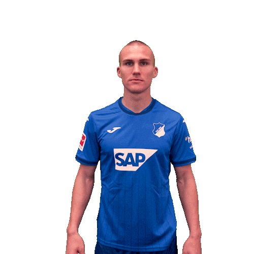Sport Bundesliga Sticker by TSG Hoffenheim