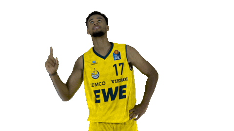 Ewe Baskets Basketball Sticker by EWE Baskets Oldenburg