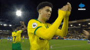 Celebration Clap GIF by MolaTV