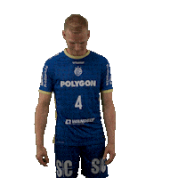 Handball Sticker by DAIKIN HBL