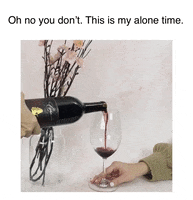 LeahVanDale cheers wine drinks salute GIF