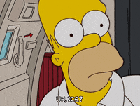 homer simpson ice GIF