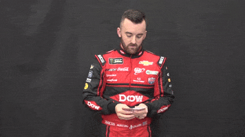 betting las vegas GIF by Richard Childress Racing