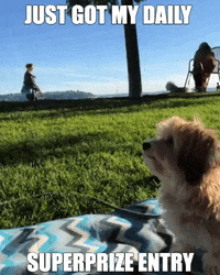 PCHOfficial happy excited win play GIF