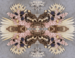 Art 3D GIF