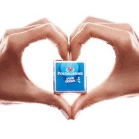 Polenghi love amor proteina polenguinho Sticker