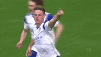 Happy Football GIF by FC Schalke 04