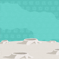 Sesame Street Animation GIF by Ahlan Simsim