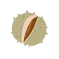 Fall Season Halloween Sticker