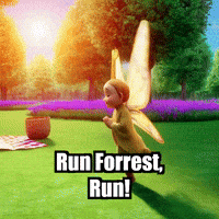 Run Jogging GIF by BuddhaFlyJourney
