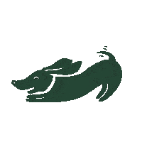 Happy Dog Sticker by Fressnapf