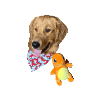 I Choose You Pokemon Sticker by Geekster Pets