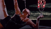 210 GIF by The Gong Show