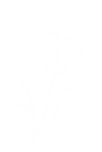 Spring Garden Sticker