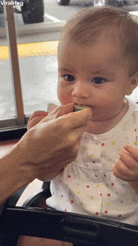 Baby Learns About Limes
