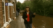 news dump GIF