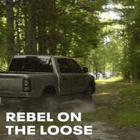 Rebelontheloose GIF by Ram Trucks