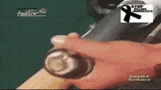 Giant Clam Shipworm GIF by Mashable