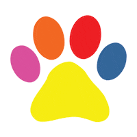 Cat Kat Sticker by Kattenveertjes