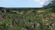 viceland GIF by HUANG'S WORLD