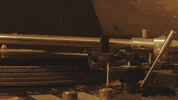 Country Music Vinyl GIF by Parker McCollum