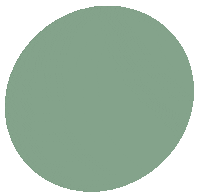 Color Sticker