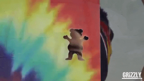 grizzly bear grizzlygang GIF by Torey Pudwill