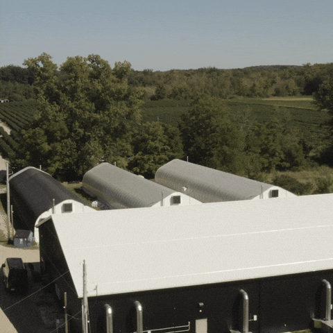 Plant Grow GIF by Exclusive Brands