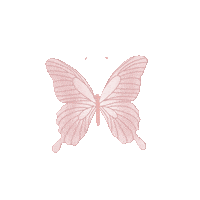 poshboutiquebr posh poshboutique Sticker