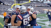 New England Patriots Football GIF by NFL