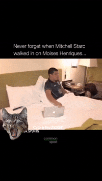 Cricket Australia GIF