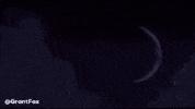 Shrek Donkey GIF