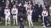Football Nfl GIF by New England Patriots