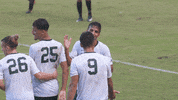 GIF by Jacksonville University