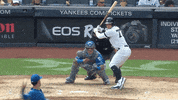 Jomboy  GIF