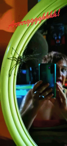 millimations giphygifmaker spider GIF
