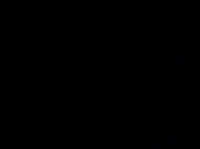 season 5 netflix GIF by Gilmore Girls 