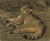 Flying Around Cat GIF by GIF IT UP