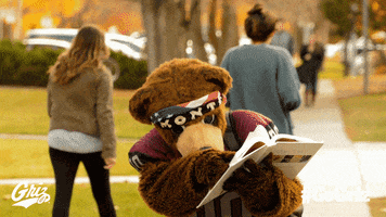 Studying U Of M GIF by Montana Grizzlies