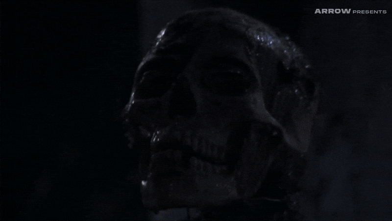 Linnea Quigley Horror GIF by Arrow Video