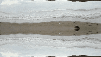 Digital Art GIF