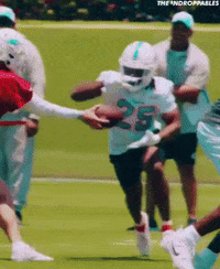 Miami Dolphins GIF by The Undroppables