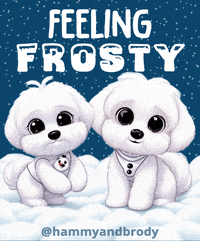 Merry Christmas Dog GIF by HammyandBrody