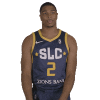 SLCStars what stars utah slc Sticker