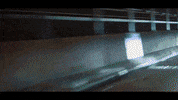 palm trees vancouver GIF by MANILA GREY