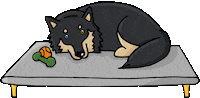 Dog Cartoon Sticker by TEHZETA